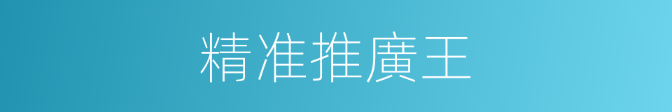 精准推廣王的同義詞