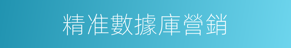 精准數據庫營銷的同義詞