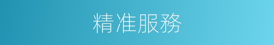 精准服務的同義詞