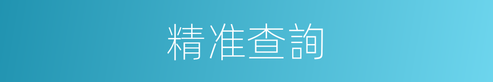 精准查詢的同義詞