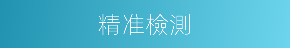 精准檢測的同義詞