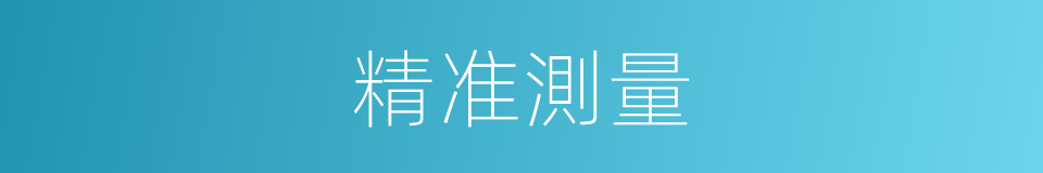 精准測量的同義詞
