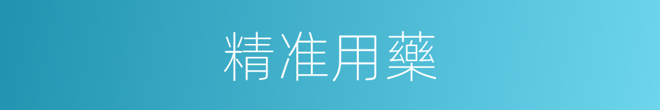 精准用藥的同義詞