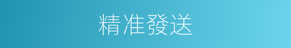 精准發送的同義詞