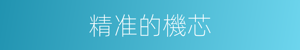 精准的機芯的同義詞