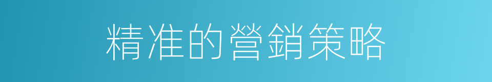 精准的營銷策略的同義詞