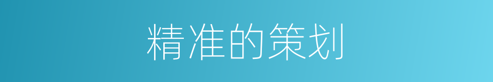 精准的策划的同义词
