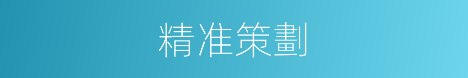 精准策劃的同義詞