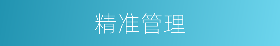 精准管理的同义词