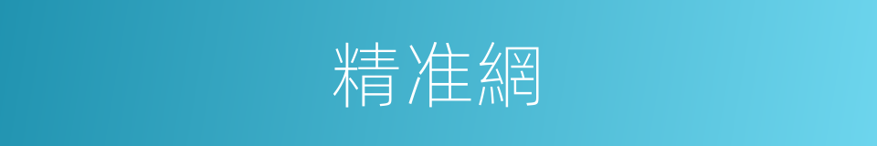 精准網的同義詞