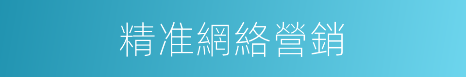 精准網絡營銷的同義詞