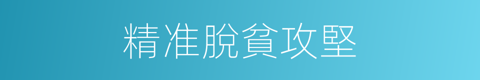 精准脫貧攻堅的同義詞