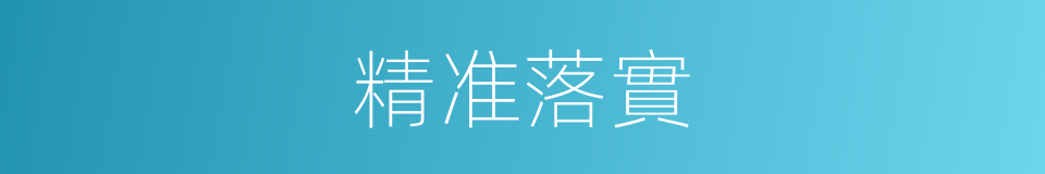 精准落實的同義詞