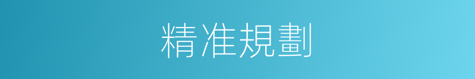 精准規劃的同義詞