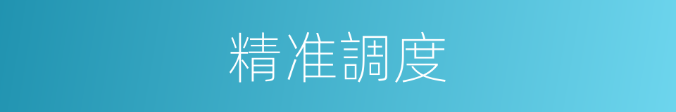 精准調度的同義詞