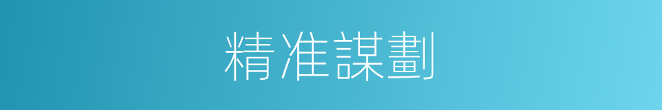 精准謀劃的同義詞