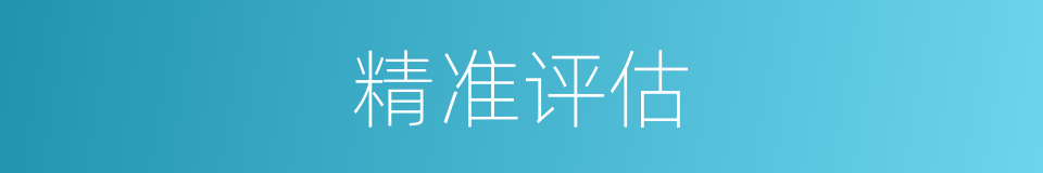 精准评估的同义词