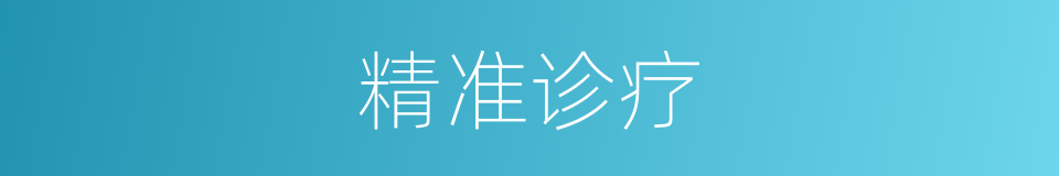 精准诊疗的同义词