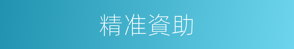 精准資助的同義詞