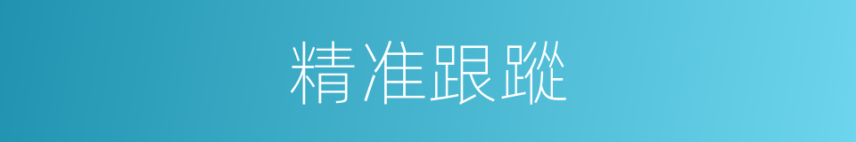 精准跟蹤的同義詞