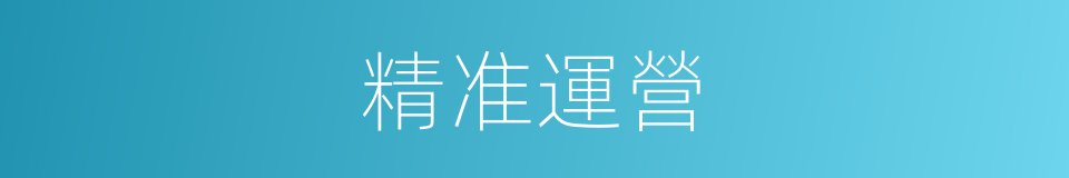 精准運營的同義詞