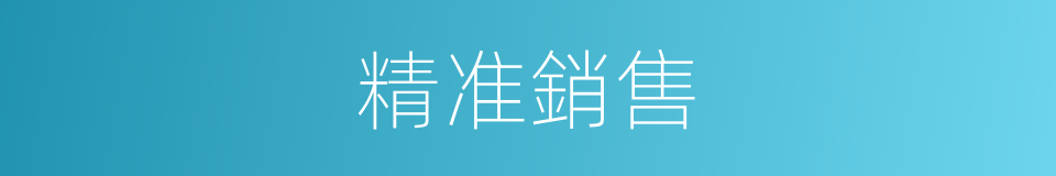 精准銷售的同義詞