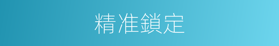 精准鎖定的同義詞