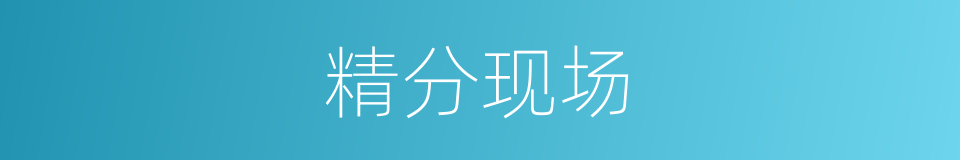 精分现场的同义词