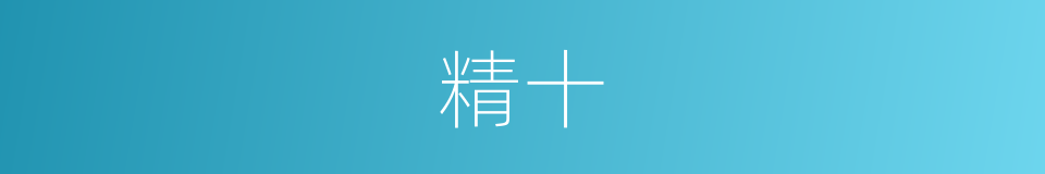 精十的同义词