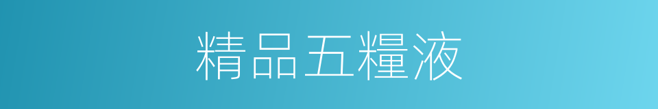 精品五糧液的同義詞