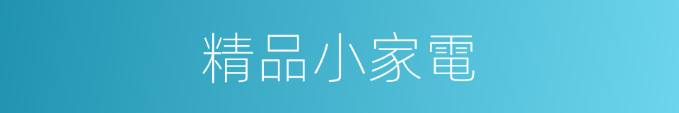 精品小家電的同義詞