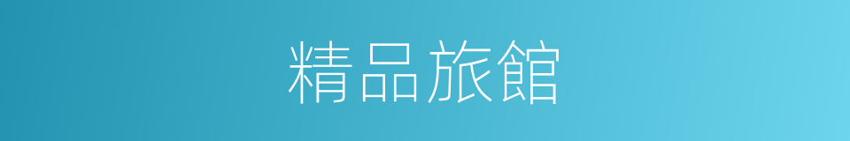 精品旅館的同義詞