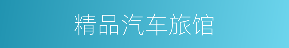 精品汽车旅馆的同义词