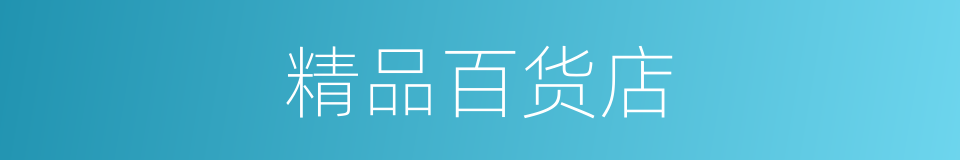精品百货店的同义词