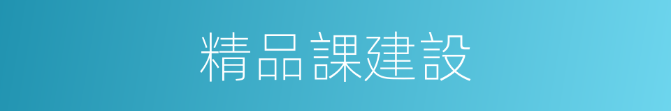 精品課建設的同義詞