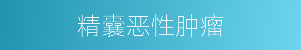 精囊恶性肿瘤的同义词