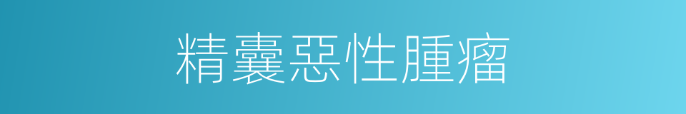精囊惡性腫瘤的同義詞