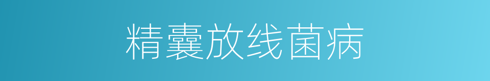 精囊放线菌病的同义词