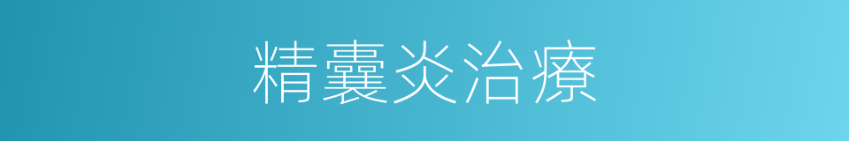 精囊炎治療的同義詞