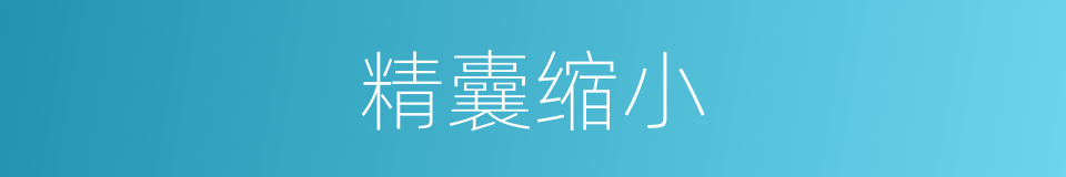 精囊缩小的同义词