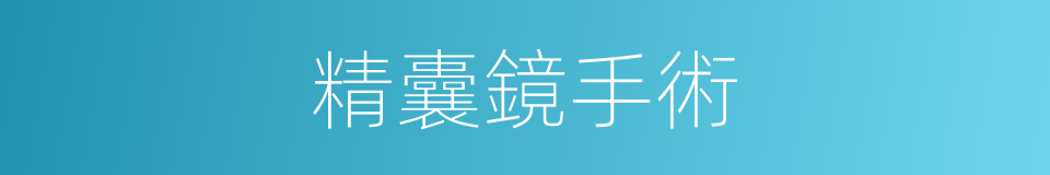 精囊鏡手術的同義詞