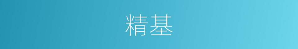 精基的同义词