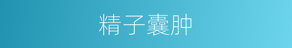 精子囊肿的同义词