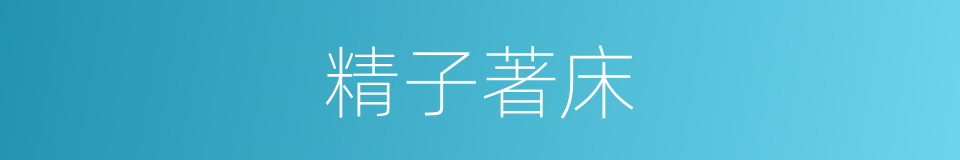 精子著床的同義詞