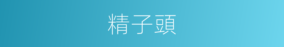 精子頭的同義詞