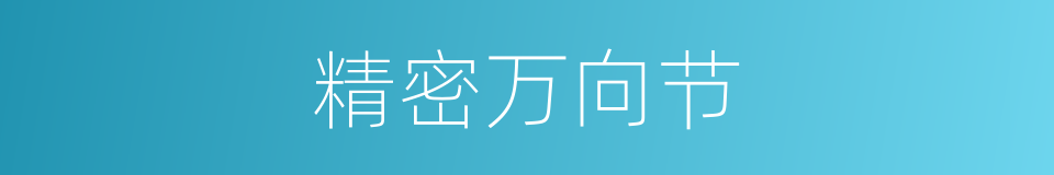 精密万向节的同义词