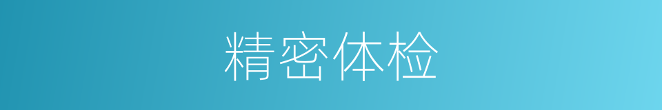 精密体检的同义词