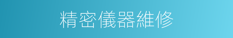 精密儀器維修的同義詞