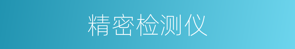 精密检测仪的同义词