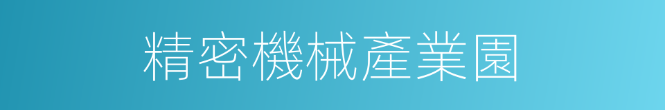 精密機械產業園的同義詞